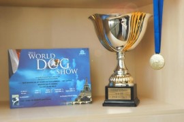World Dog Show 2011