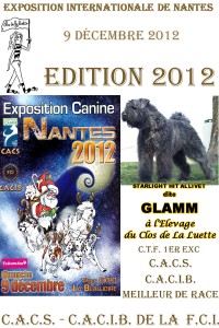 Glamm, Интернациональная выставка